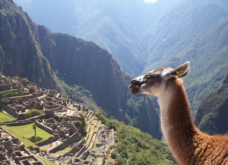 Explore the mysterious city in the sky, Machu Picchu